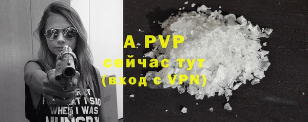 сатива Абаза