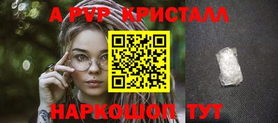 прущие крисы Будённовск