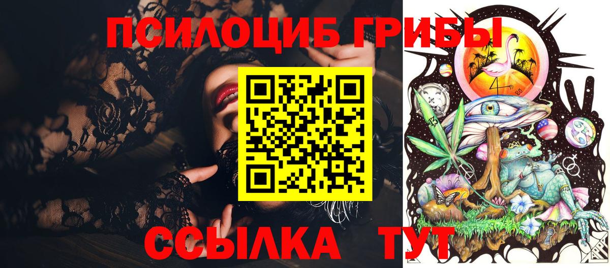 Псилоцибиновые грибы Psilocybe  Галлюциногенные грибы прущие грибы  как найти   Вход с VPN  Кандалакша 