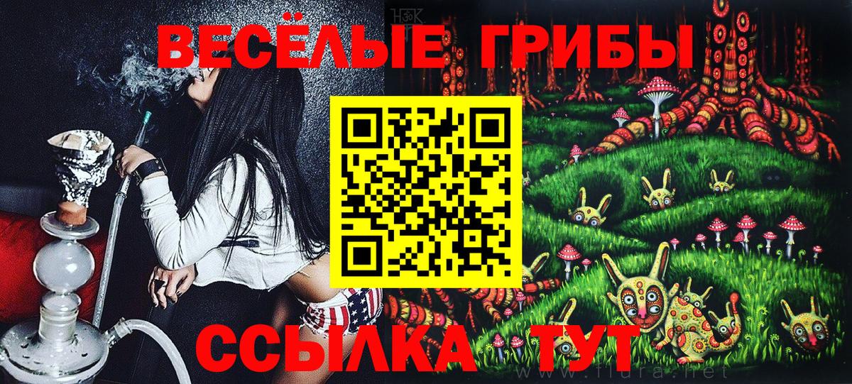 Галлюциногенные грибы Cubensis Кандалакша